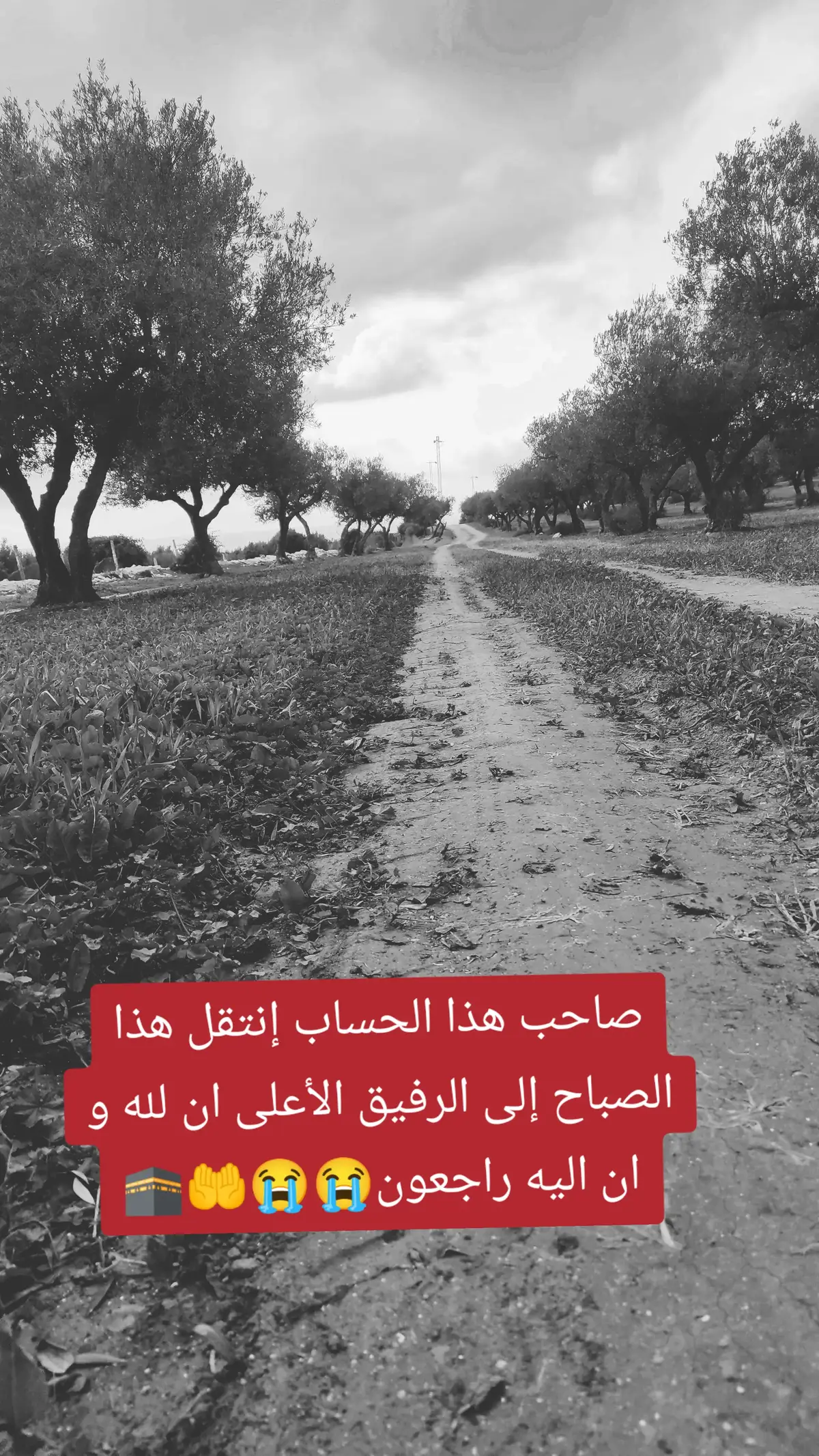 #explore #قرآن_كريم #fouryou #fyp 