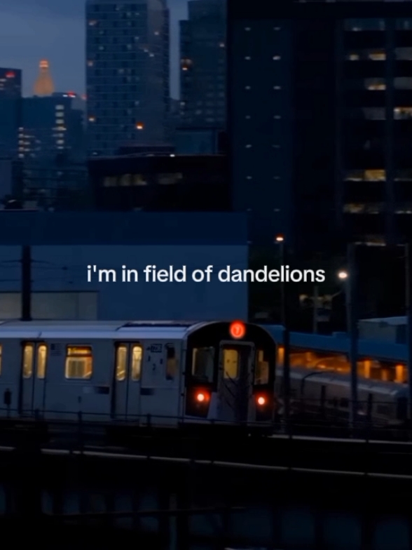 dandelions era >> #ruthb #dandelions #lyrics #musicvibes #foryou #fyp 