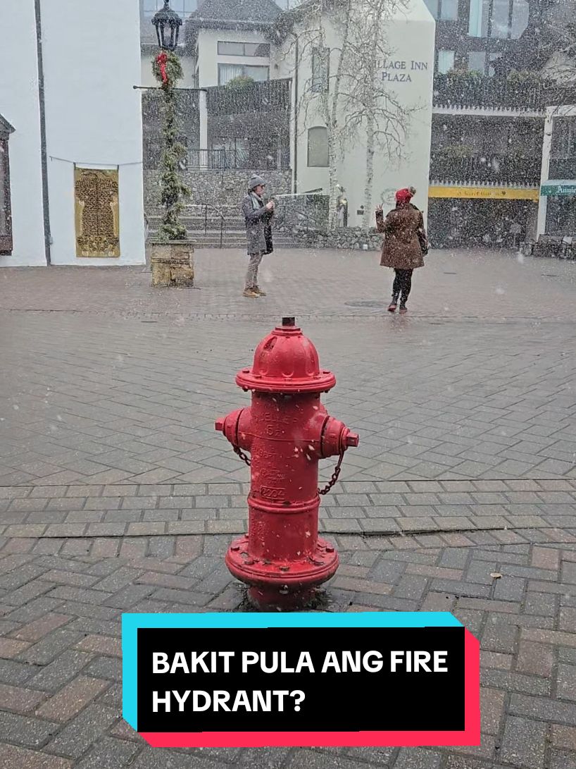 Fire hydrants that we usually see are red. Fire hydrants are color coded according to the amount of water they are able to produce.  Red: Usually signifies a private hydrant with a lower water flow rate.  Color coding on top: The color of the hydrant's top or cap often indicates the water flow rate, with red signifying a lower flow and other colors like orange, green, and blue representing higher flow rates.  Local variations: While red is common, different cities may use different color schemes for their fire hydrants, so it's important to check local regulations to understand the meaning of colors in your area.  #LearnOnTikTok #fyp #kuyakimanona #damimongalamkuyakim 