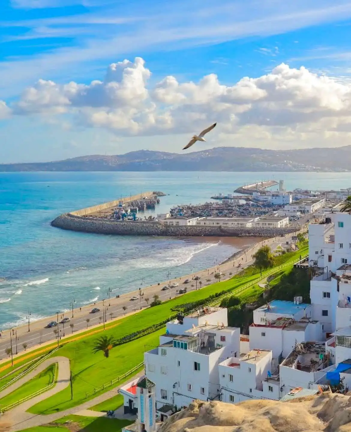 للجمال عنوانه طنجة عروسة الشمالtanger🇲🇦❤️ #españa🇪🇸 #videoviral #الجالية_المغربية_في_كل_مكان💚 #الشعب_الصيني_ماله_حل😂😂 #تصميم_فيديوهات🎶🎤🎬 #morocco🇲🇦 #fouryou #fouryou #vira #cupcut #tanger 