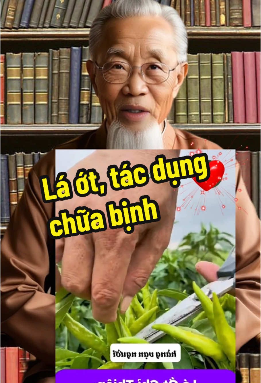 Lá ớt, tác dụng chữa bịnh #songtruongtho #suckhoe #xuhuong #LearnOnTikTok 