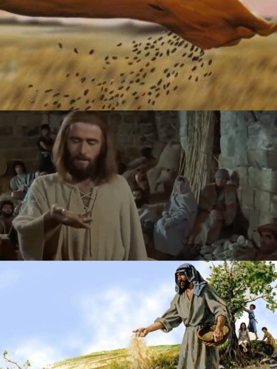 The Parable of the Sower #jesus #teachings #christianteachings 