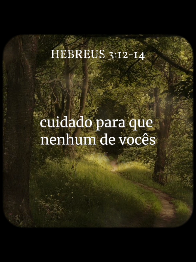 Compartilhe o evangelho ✝️ #versiculo #fy #vaiprofy #vaiprafy #evangelho #cristao #fy #fyp #Deus #Jesus 