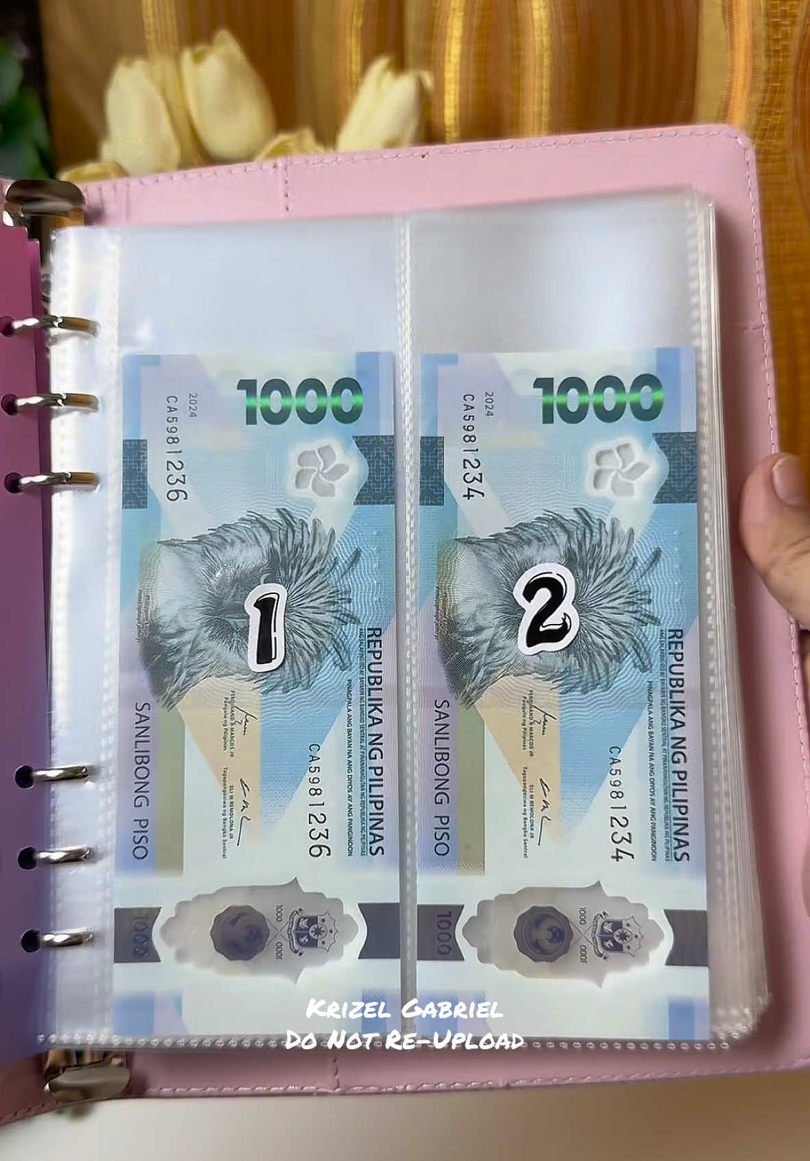 HANDA KA NA BA ULIT MAG IPON NEXT YEAR? 2025 na tara mag simula na ulit tayo mag ipon kasi naubos na ang iipon ko😂 #100envelopechallenge #100envelopesavingschallenge #nomoretupi100envelopechallenge #savings #savingsnotebook 