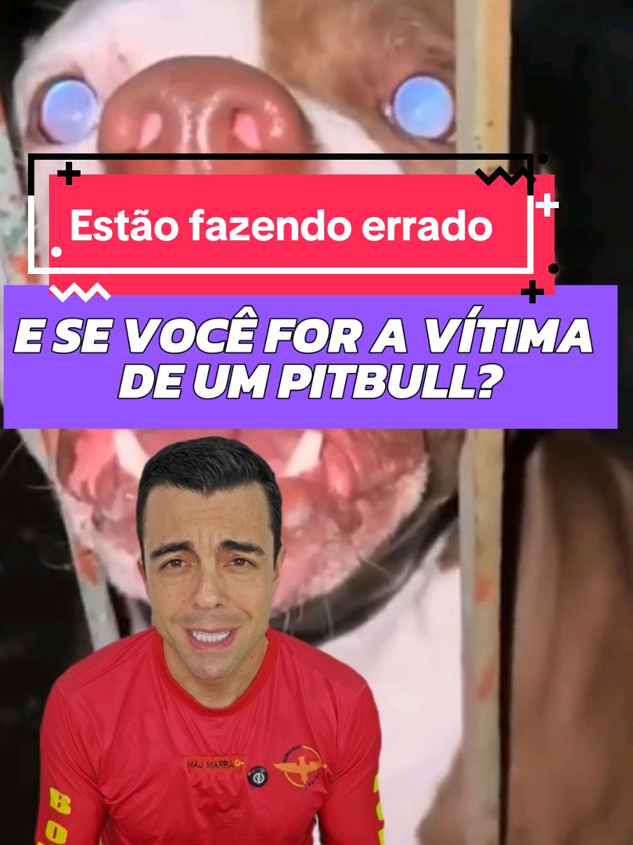 ⚠️Leia a legenda⚠️ Como escapar do ataque de um pitbull? 🐶⚠️ Há pouco tempo fizemos um vídeo sobre como parar o ataque de um pitbull em outra pessoa ou animal. Agora, se a vítima for você? 😱 1️⃣ Não corra nem grite, pois isso pode ativar o instinto de caça do animal; 🚫🏃‍♂️ 2️⃣ Procure uma parede ou algo fixo para escorar as costas e não permitir que ele te derrube. No chão, o risco dele acertar seu rosto ou pescoço são maiores. 🧱 3️⃣ Posicione uma mochila 🎒 ou 👛 bolsa, ou casaco, entre você e ele. Isso pode desviar o foco do animal e proteger seu corpo. Por vezes, ele pode morder o objeto e não te morder.  4️⃣ Se o ataque for inevitável, grite por ajuda e dê o braço fraco ao animal. Com o braço forte, caso saiba, aplique um mata-leão no cachorro. 💪🐕 5️⃣ Uma técnica que poucos conhecem: caso ele tenha te mordido, tente puxar a língua do pitbull com força. Ele irá abrir a boca e te soltar por instinto. 😳👅 Divulgue essa técnica para todos que você conhece. 📢✨ Compartilhe e marque seus amigos nos comentários que esse conhecimento pode salvar uma vida. 🙏❤️ #pitbull #cachorros #ataque #sobrevivência #emergência