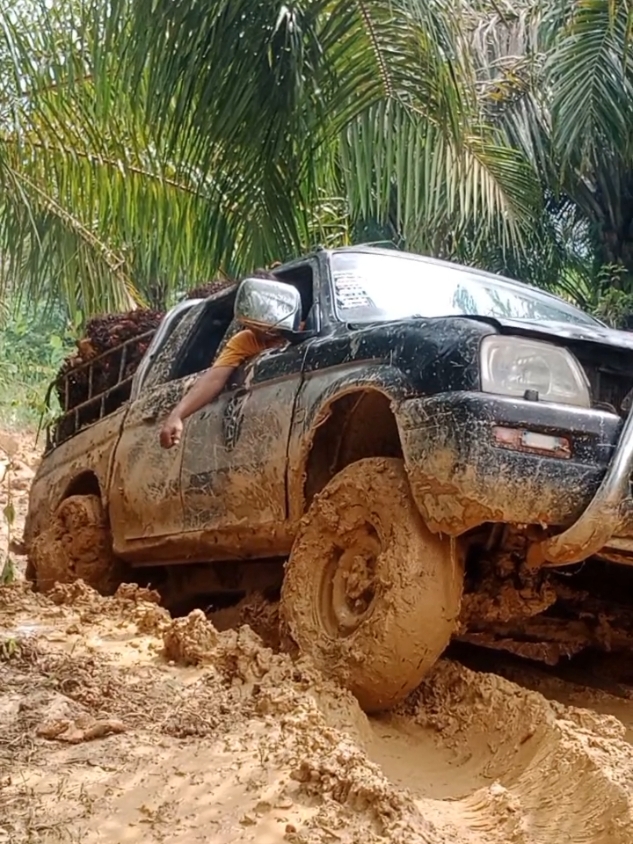 hancur sudah  #langsirsawit #mobillangsirsawit #supirsawit #drivermuda #l2004x4 #hiline4x4 #fypシ゚ #lewatberanda 