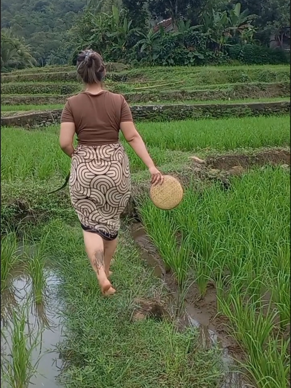 suasana pedesaan #kehidupan   #wanita #kampung #semangat #berjuang 