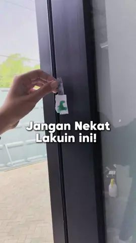 Jangan nekat deh, nanti bisa panen cicak #seroxil #tipsrumah #umpancicak 