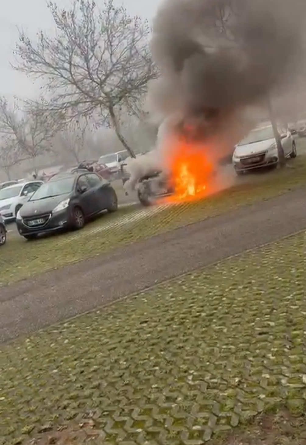 Ist nur ein Kratzer oder was meint ihr ? #auto #bmwmotorsport #fyp @lm1628 danke für die vids bro 