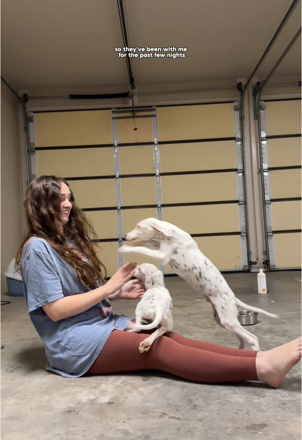 Replying to @Kayrixia They’re doing so well and are the sweetest puppies! The Maddux Movement is the dal rescue they’re going to and we’re on the way now! #puppyrescue #rescue #dogrescue #dalmatian #dalmatianpuppy #dalmatians #foster #fostering #tosterpuppy 