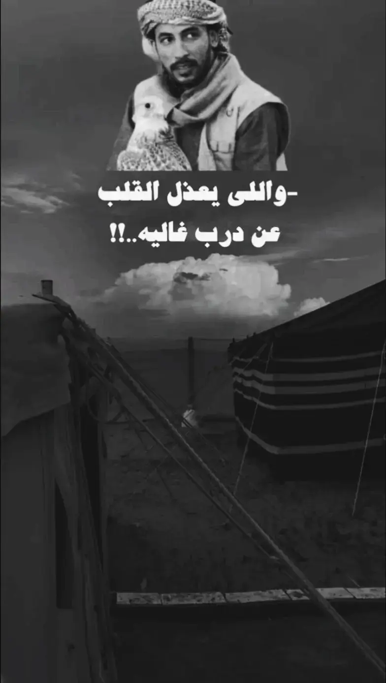 #محمد_بن_فطيس_المري🖐️💔 #ذووووووووق📮 #جبراتت📮 #اكسبلوررررررررررررررررر 