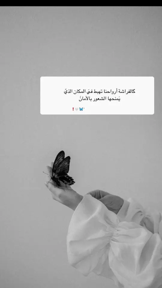 #خواطر #مساء_الخير🌹 #الهاشتاقات_للشيوخ #اكسبلور #foryou 