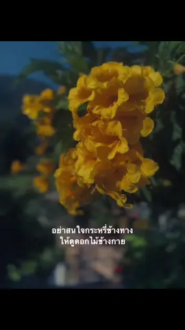 #เธรด #สตอรี่