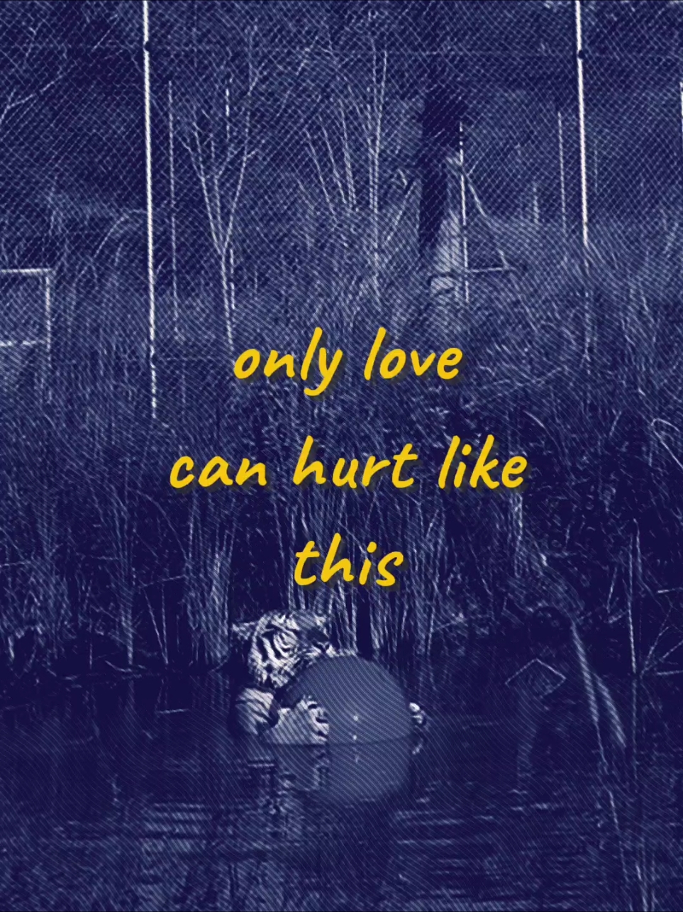 #onlylovecanhurtlikethis #lyrics #liriklagu 