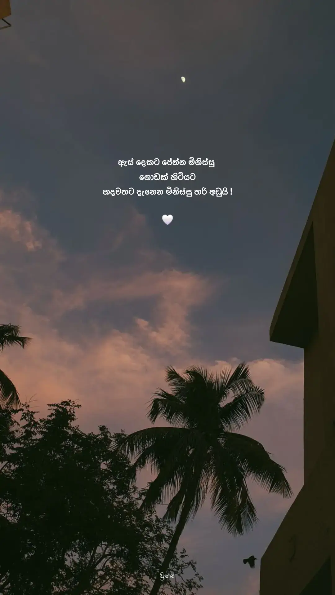 . . . . . . . . . . . #fyp #fypシ #ප්‍රින්ස්💐 #viral #foryou #foryoupage #srilanka #viralvideo #viral  #sinhalaquotes #princeqoutes 