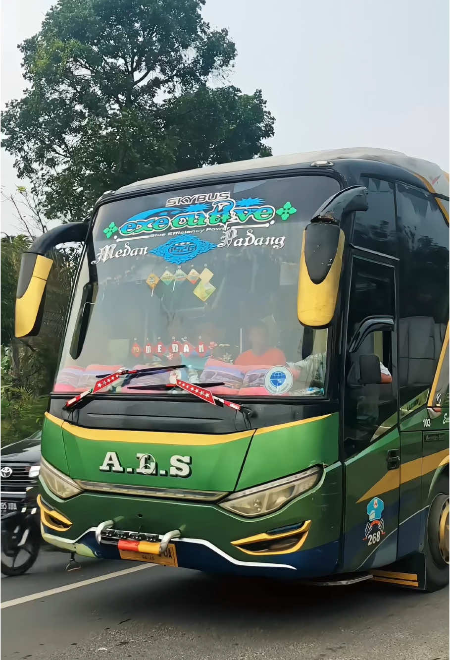 Ingat yah ini sound terbaik bus sumatera #huntingbus #als268 #teampantausiantar #fyppppppppppppppppppppppp 