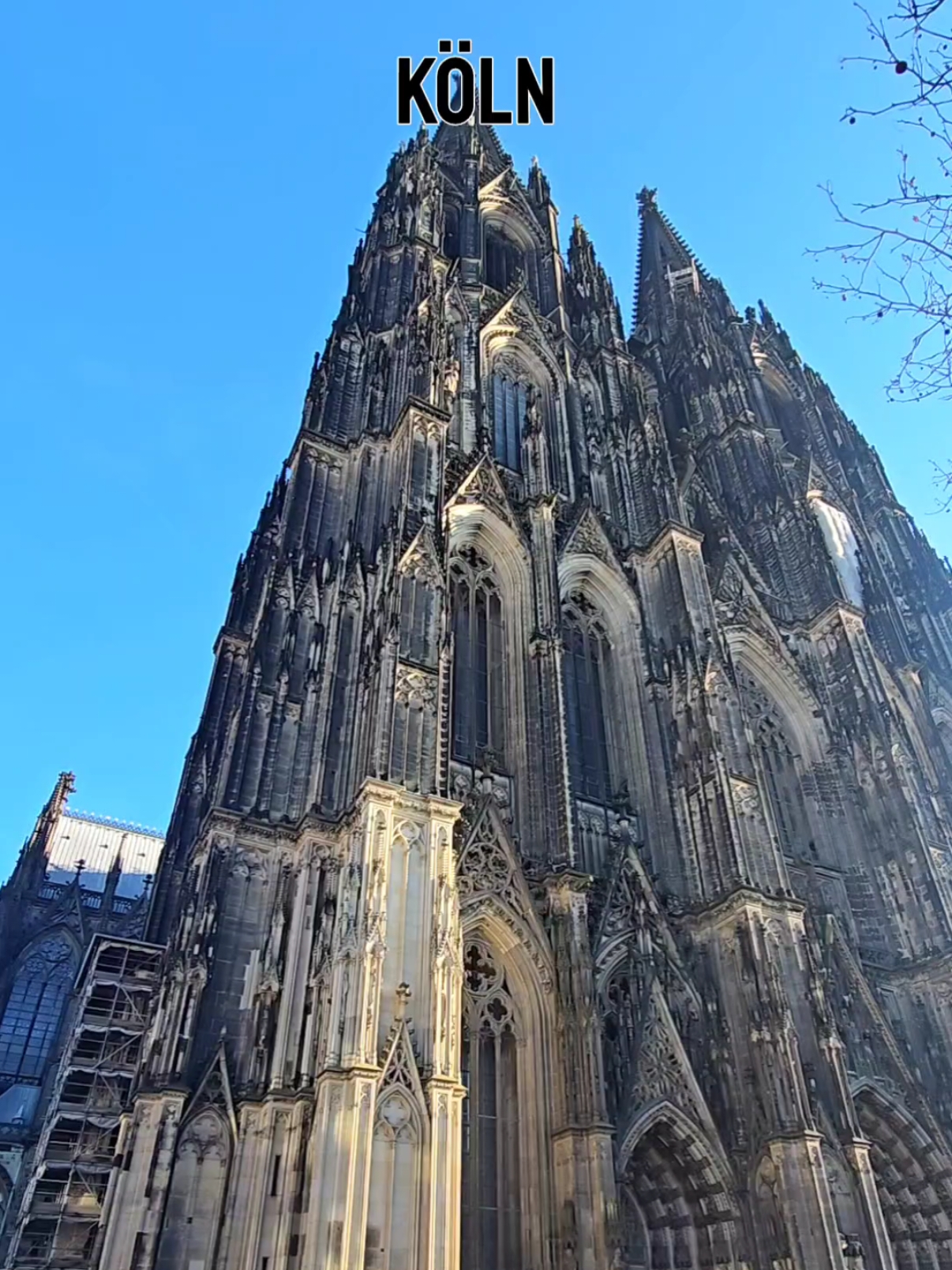 Köln 🇩🇪  Es gibt immer Millionen von Touristen in dieser Stadt, denn jeder möchte diese unglaubliche Kathedrale sehen.  Es ist das drittgrößte in Europa! #Köln #kölnerdom  #germany 