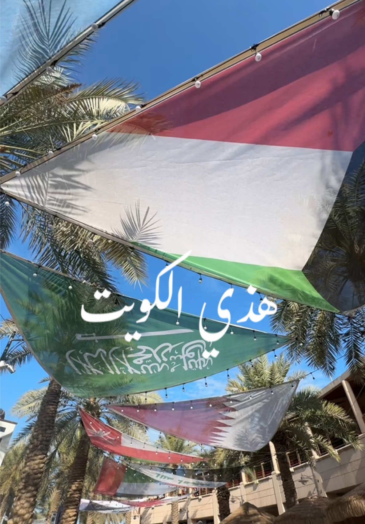 هذي الكويت🇰🇼🕊️🌿 أرض المحبة والسلام #الكويت🇰🇼 