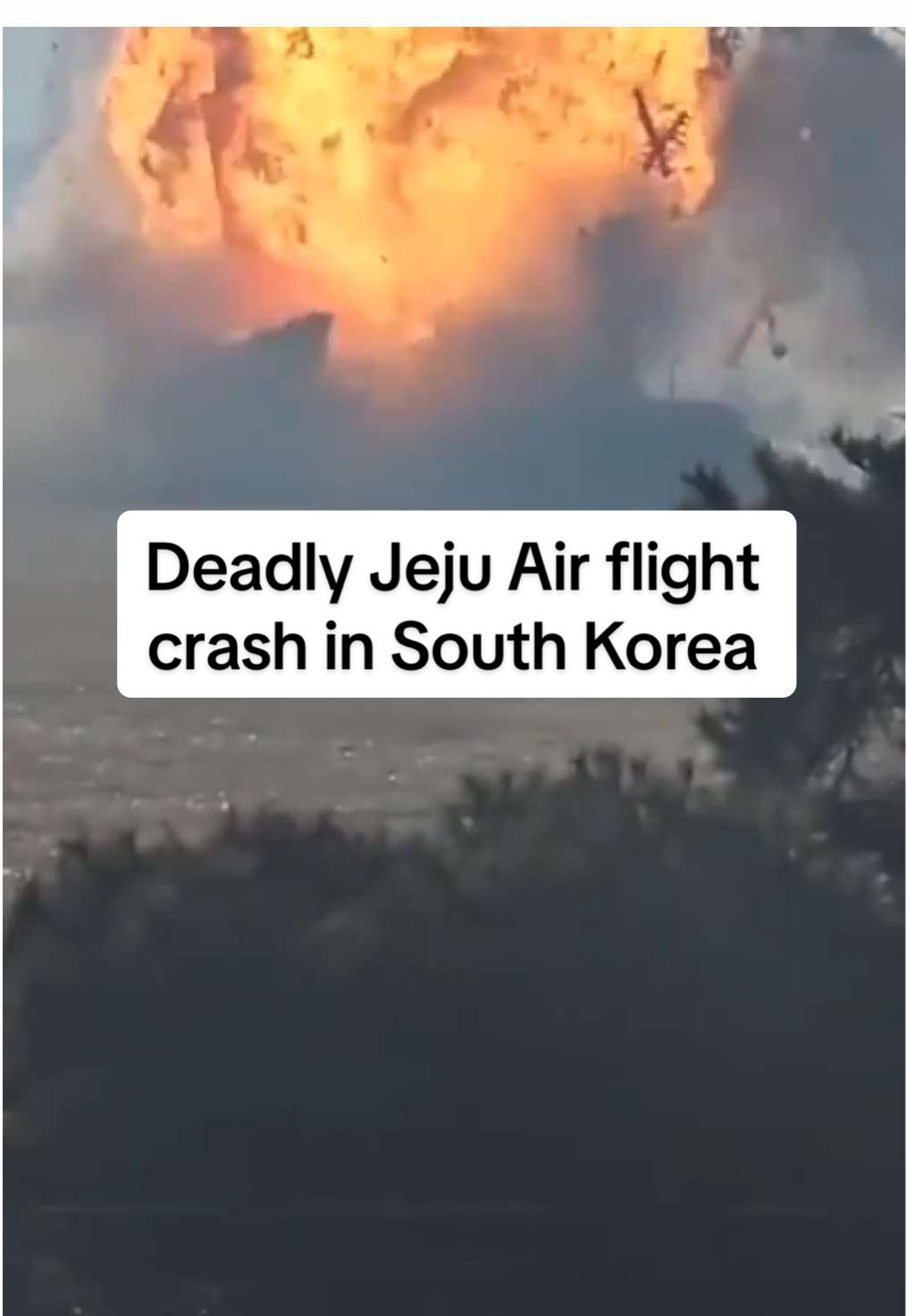 Two crew members have been rescued, authorities have said, after a Jeju Air plane erupted into a fireball shortly after landing at South Korea's Muan International Airport on Sunday. Officials have suggested the rest on board the flight that was carrying 181 people are presumed dead. #Reuters #planecrash #survivors#plane #aviation #emergency #Jeju #MuanInternationalAirport