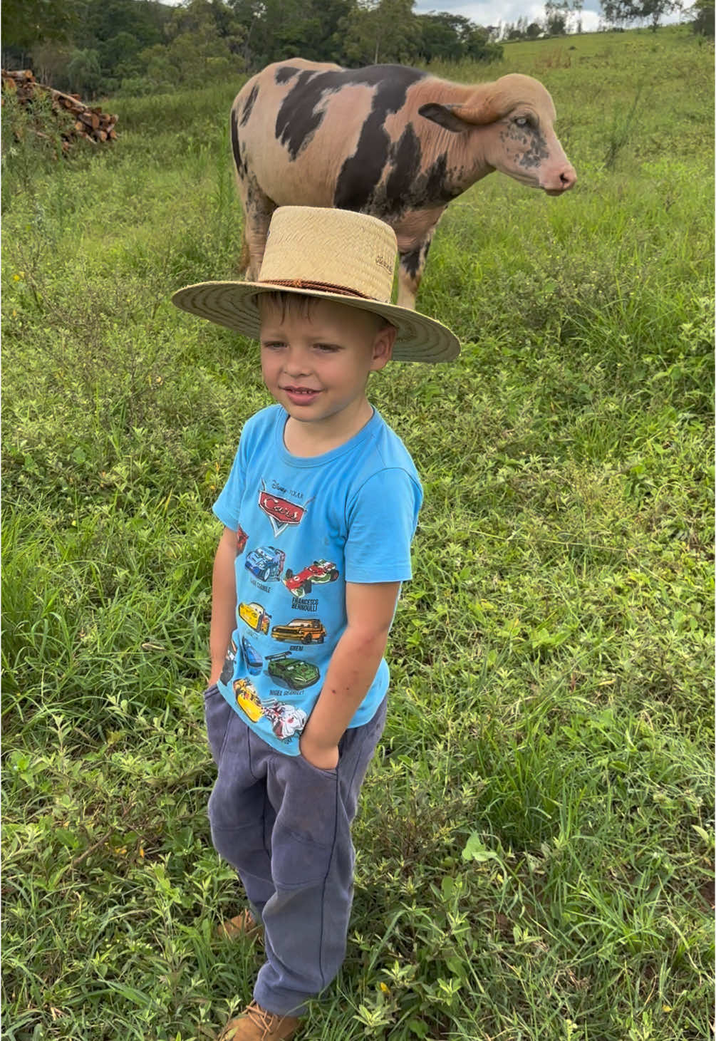 Olha só que Bufalo lindo que o Campeiro tem 🧑🏼‍🌾🐃🦬😍❤️