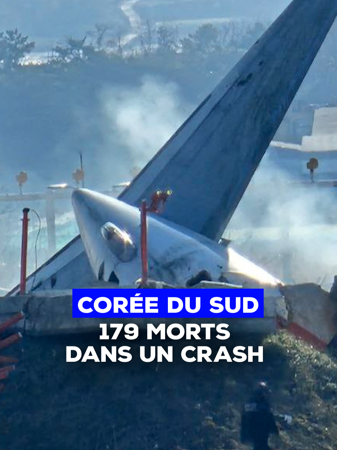 En Corée du Sud, 179 morts dans la pire catastrophe aérienne de l'histoire du pays #crash #actualités #international #tf1info