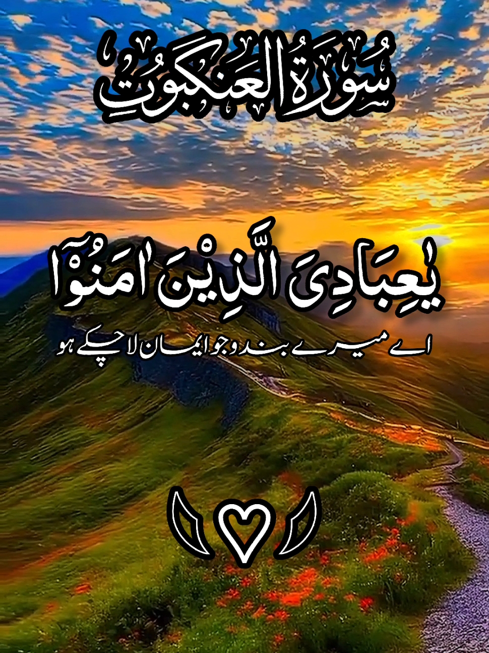 #قران_كريم #راحة_نفسية #ارح_قلبك_المتعب_قليلاً🤍💫 #راحة_البال_وهدوء_النفس🥀🖤 #ارحمو_من_في_الارض_يرحمكم_من_في_السماء #الله_اكبر #viral #راحه_نفسيه_القرآن_الكريم،🌷🌷 #foryoupage❤️❤️ #foru #growmyaccount✅♥️♥️♥️ #growmyaccount✅ #viral #foruyou #trinding_video #growmyaccount #الله_اكبر @TiktokPakistanOfficial @TikTok @tiktok creators @TikTok UK @TikTok Tips #ارح_سمعك_بالقران #قران_كريم 