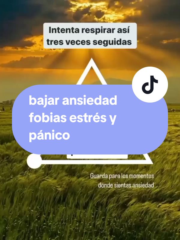 bajar ansiedad fobias estrés y pánico #miedo #ataquedepanico #ataquesdeansiedad #crisis #crisisdeansiedad #triste #fobias #ataquedeansiedad #ansiedad #depresion #respiracionconsciente #psicologaonline #fobias #estres #respiracion 