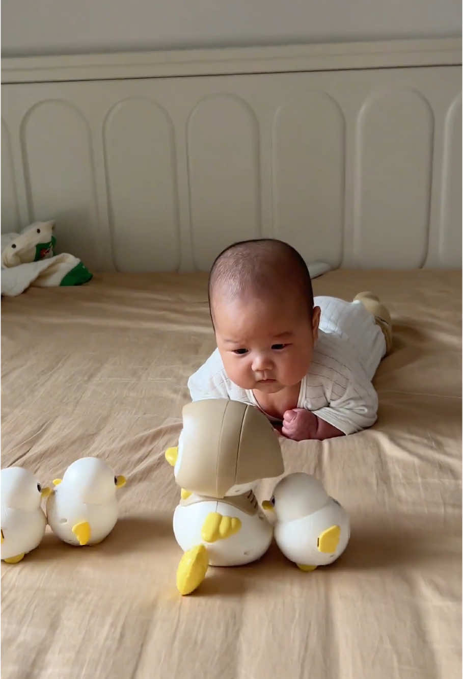 1 bầy vịt 🥰 #viabexinhyeu #babycutevideos #nhaviabeyeu #nhavia2vach 