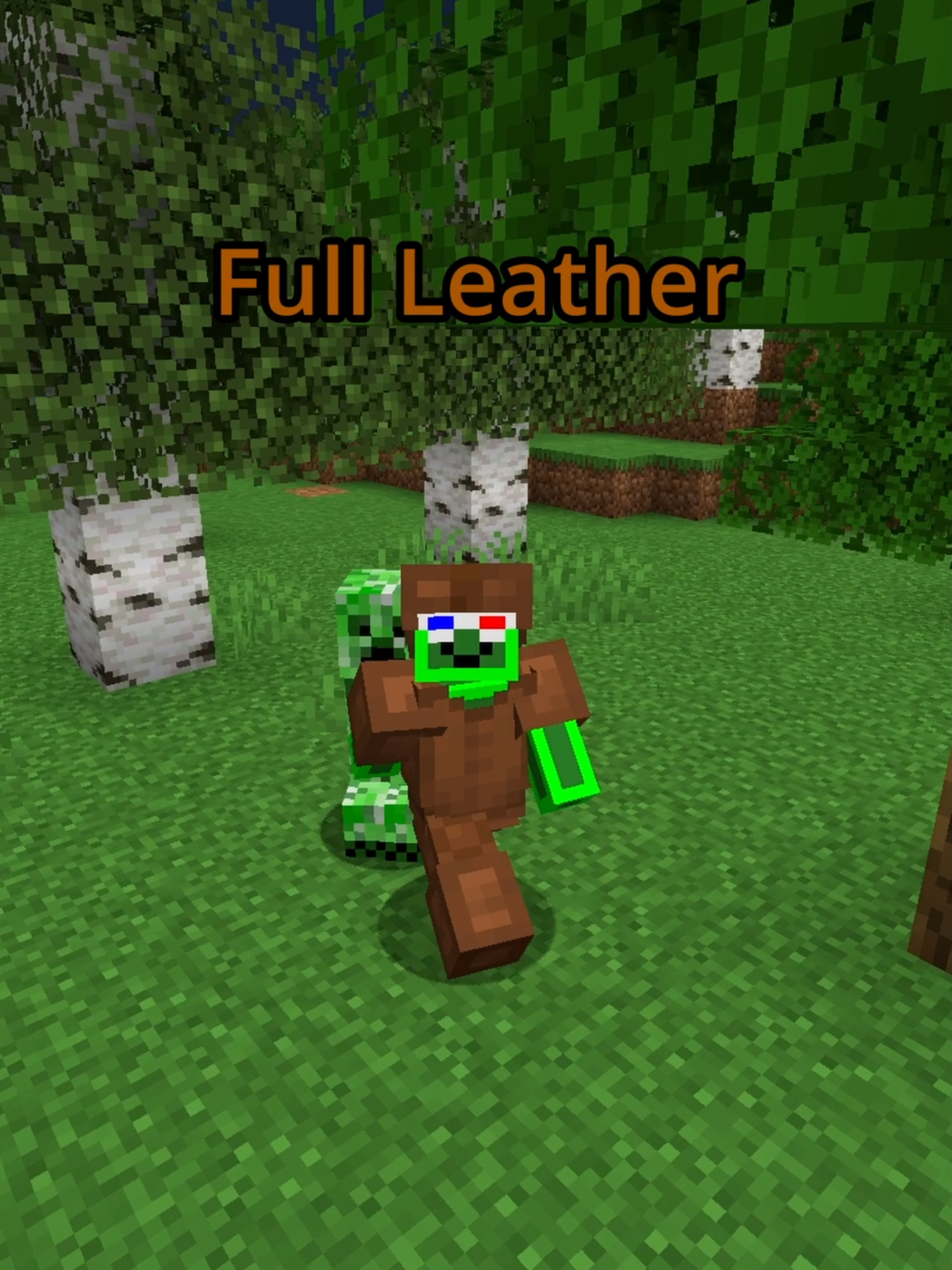 Minecraft: Needed protection for a creeper #creeper #Minecraft #fyp