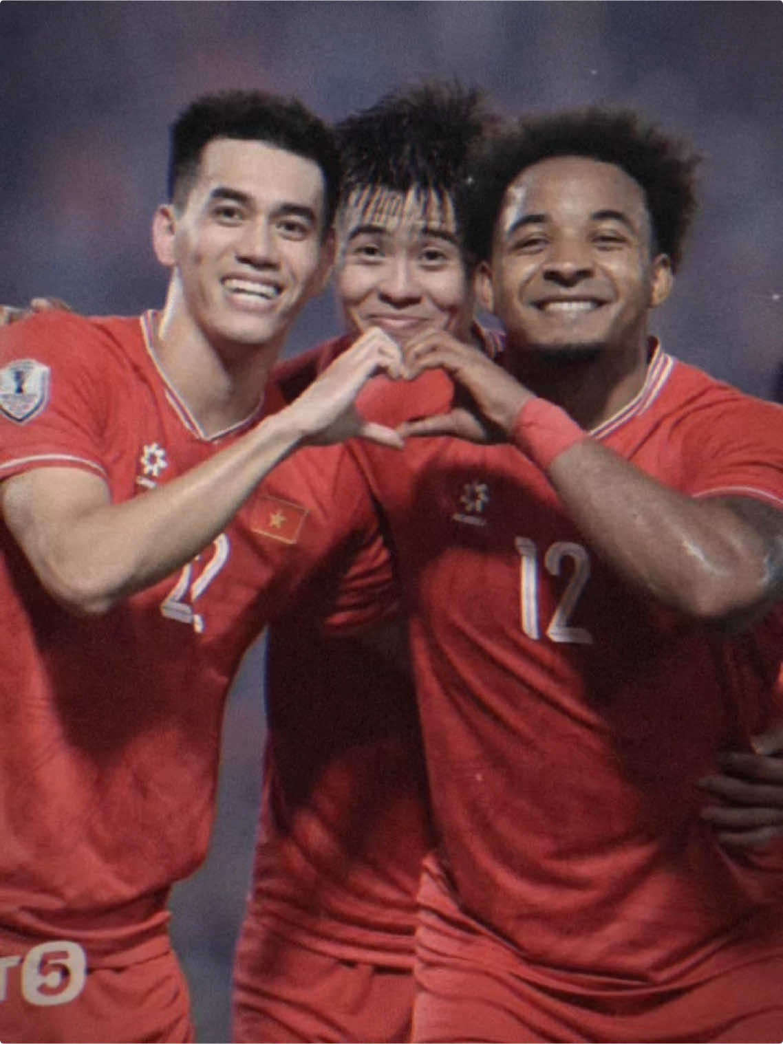 Ngạo nghễ 🇻🇳❤️#CapCut #vietnam #bongdavietnam #affcup2024 #fyp #viral 