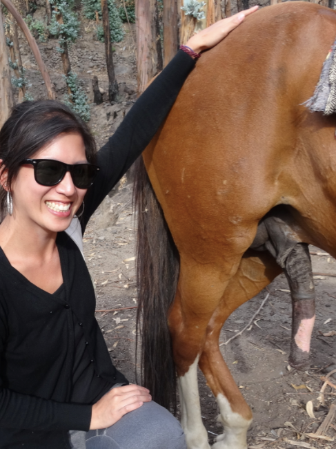 amansando o cavalo  brutos! alguma amiga pra ajudar#mares #horseriding #eguas #cavalos #mare #quartodemilha