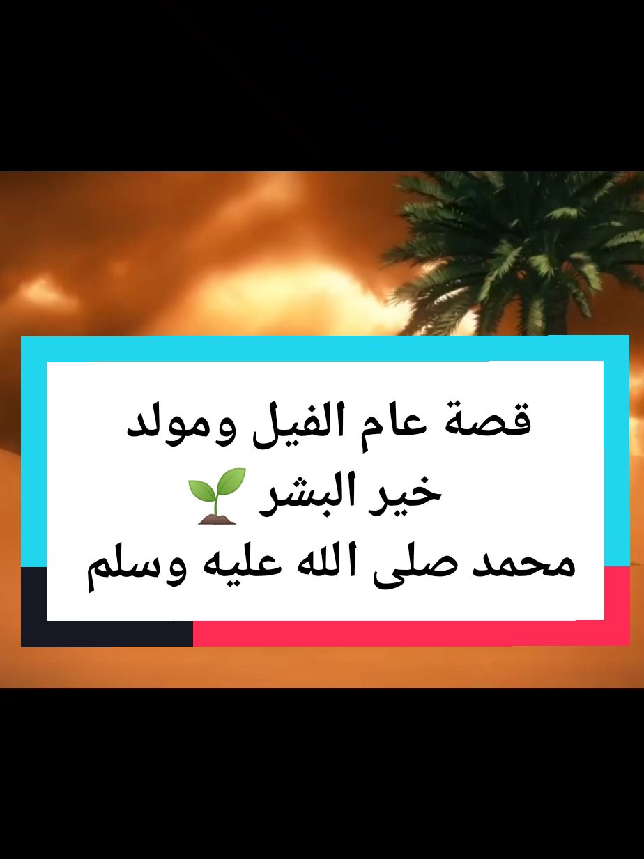 قصة عام الفيل ومولد خير البشر 🌱🤍 اللهم صل وسلم وبارك على سيدنا محمد 🤍🌴🌱 #اللهم_صلي_على_نبينا_محمد #مقاطع_دينية #قصص_الانبياء #explore #fyp #viralvideos @🌴نفحات إسلامية🌱 