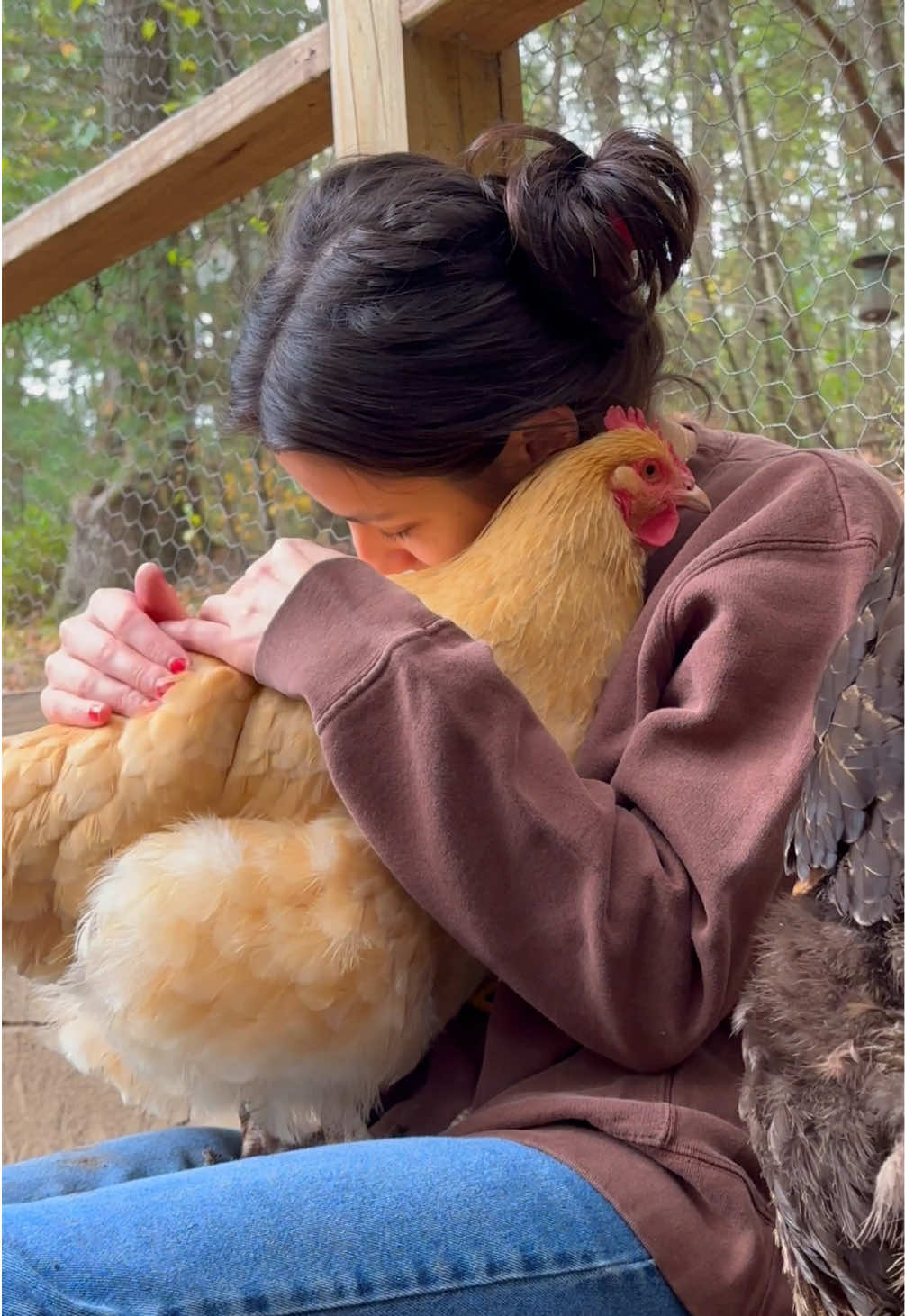 One thing about Rosie is that she will 100% kick out any chicken so that she can have all the snuggles for herself. 🤣 #chickensoftiktok🐔 #chickenmom #chickensoftiktok #chickensaspets #backyardchickens #backyardchicken #cuteanimalsoftiktok #cuteanimals #veganfortheanimals #animalsoftiktok #ilovemychickens #PetsOfTikTok #petchickens 