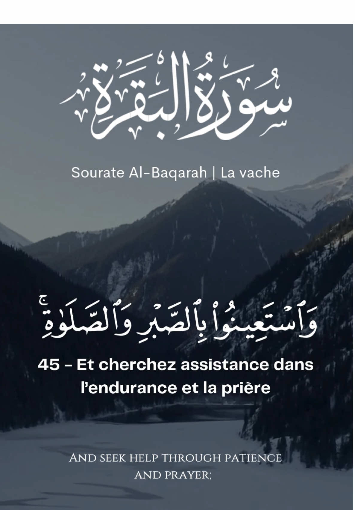 Sourate Al-Baqarah (45-48) | Ibrahim Ash-Shishani  #quran #quran_alkarim #قران #قران_كريم 