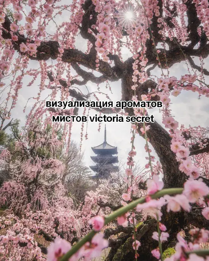 #victoriassecretangel #victoriassecret #pink #воненизм #_aeyon #thatgirl #coquette #рекомендации #щитпост #щп #fyp #wonyoungism #викториясикрет #pinkpilatesprincess #girl #girly #arianagrande #wongyoung #foryoupage #врек #рекомендации 