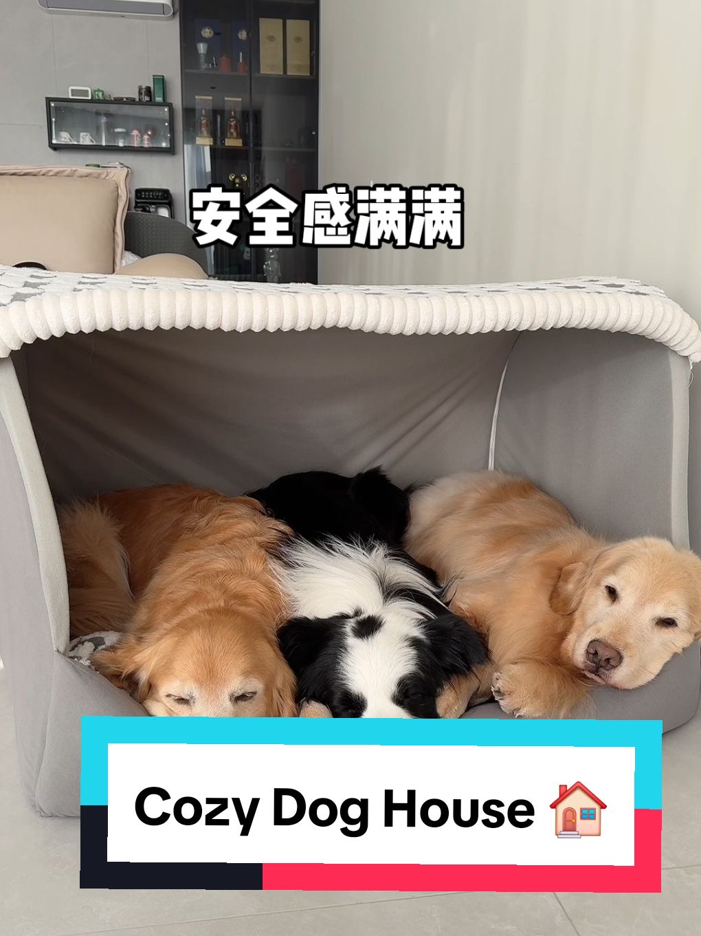 Cozy Dog House 🏠  #doghouse #dogbed #dogproducts #dogs 