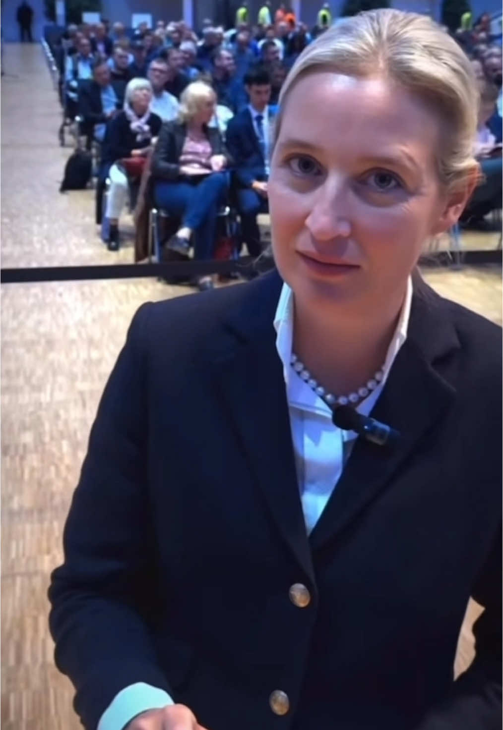 #aliceweidel #fyp #fy