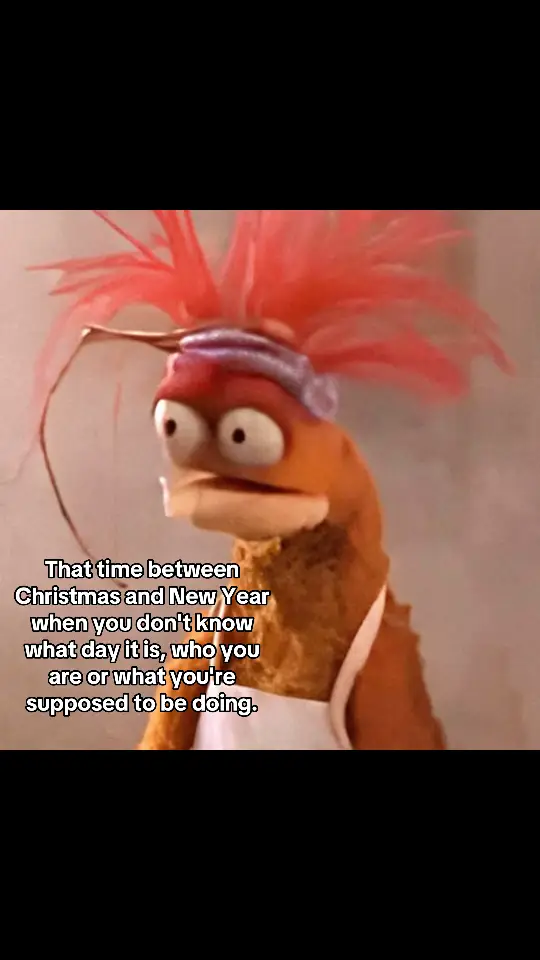 That time between Christmas and New Year when you don't know what day it is, who you are or what you're supposed to be doing. #memes #christmastime #funny #happyholidays #themuppets #pepethekingprawn