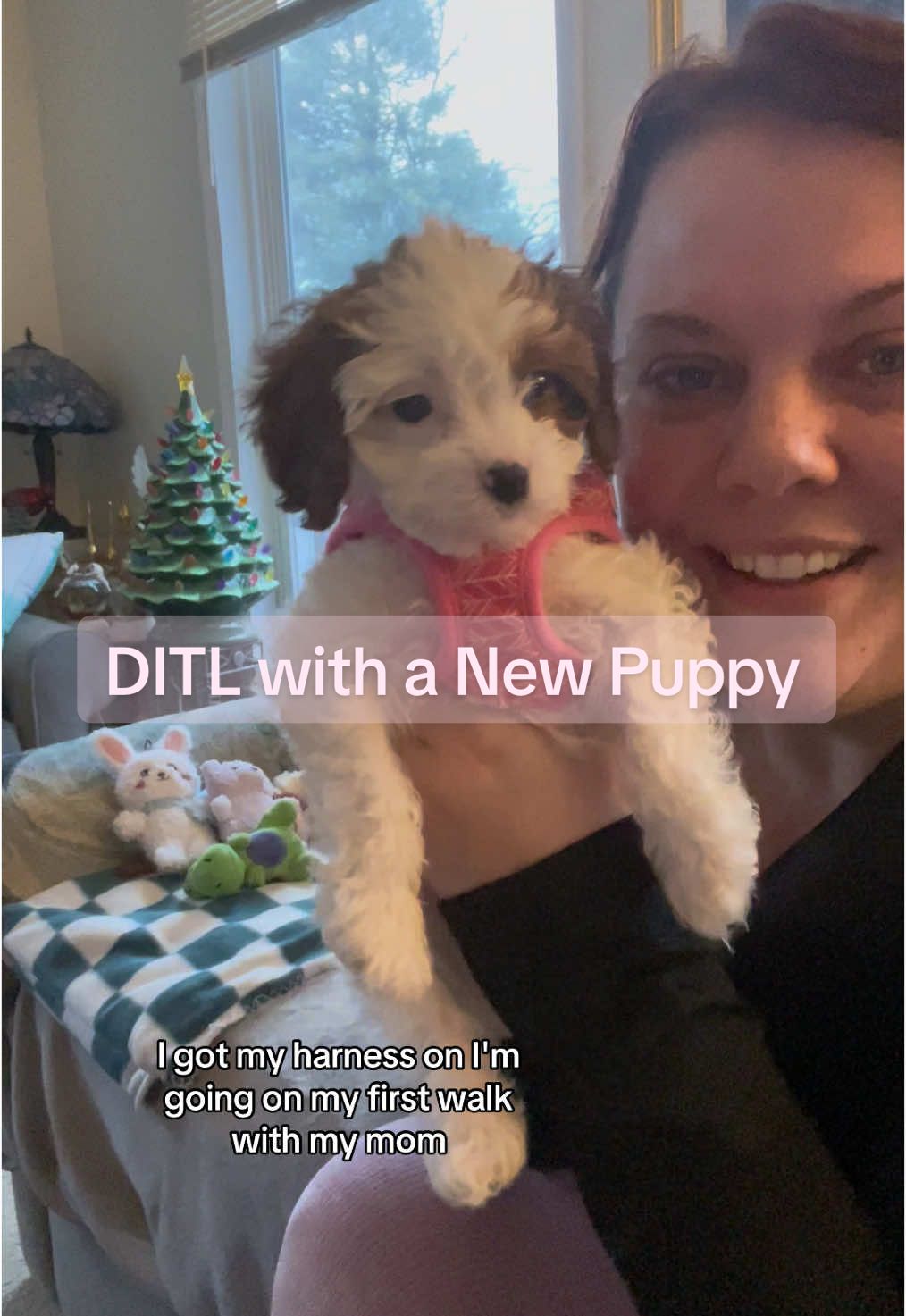 A Weekend DITL of a New Puppy Owner…it was a pretty chill day, making sure that Poppy was entertained but we did do some crate training, went on our first walk, and played a lot #ditlofanewpuppyowner #newpuppy #newpuppyparent #cavapoo #cavapoopuppy #poppypearl 