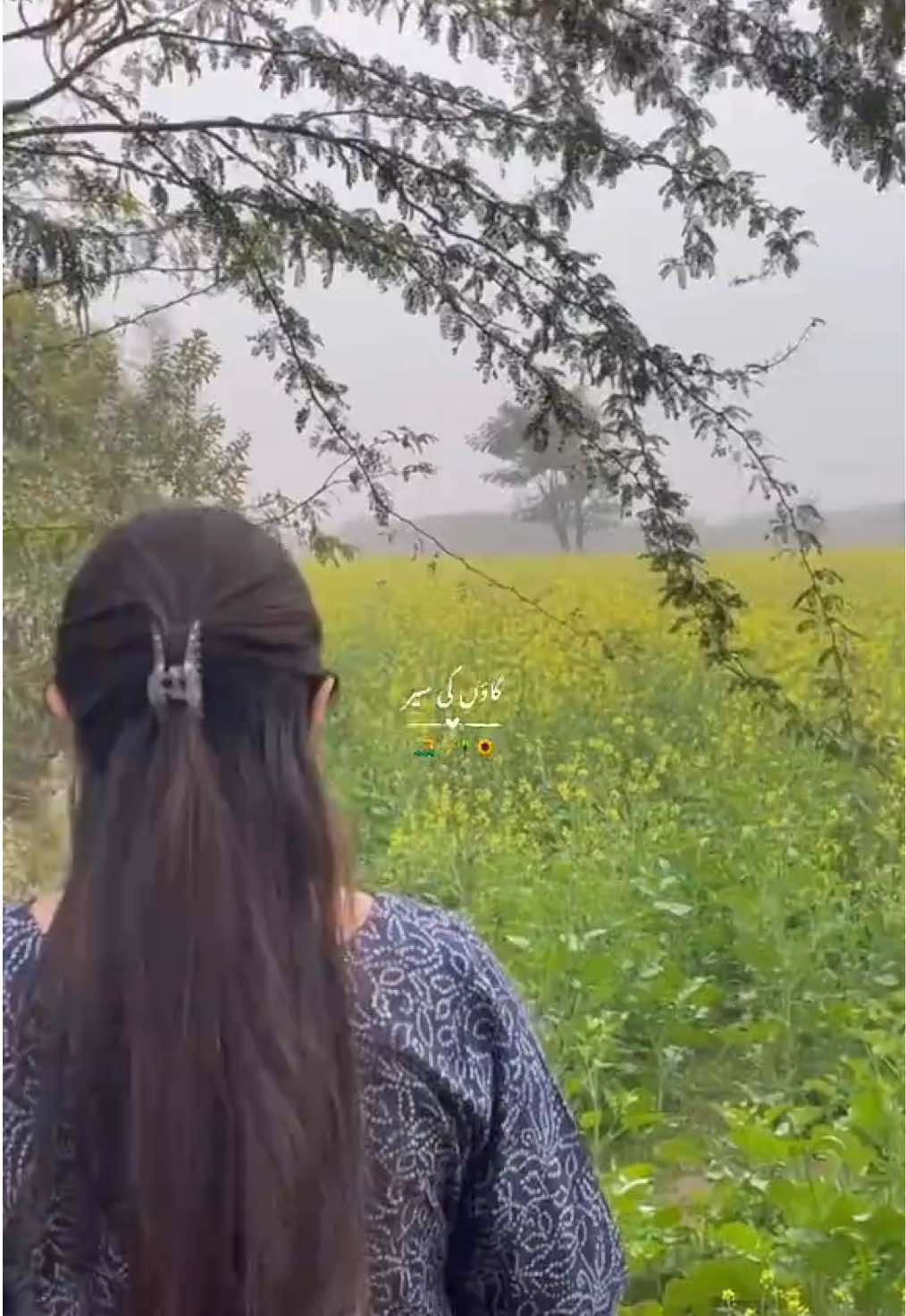 🛺🌾🌻                                            #fypシ゚viral#foryou#village#foryoupageofficial#faisalabad#viralvideo#fieldtrip#villagetour#tiktokofficial#viralmyvideo#1millionviews#family#fyppppppppppppppppppppppp 