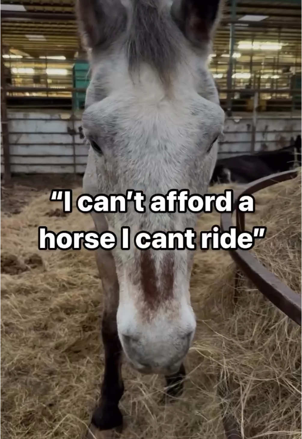 Some love what they can do with a horse more than the horse itself.  Unrideable or senior horses are often much less valuable than rideable ones.. although all can be at risk in the wrong hands.  They are harder to find longterm homes. We owe safety & respect to our animals, please do not pawn them off to an auction or leave them to starve.  This was Arthur’s reality, kids horse who started to go blind… but we are SO glad he crossed our path & is now a sanctuary horse with us.  If you dont love a horse enough to keep them through retirement or when they are no longer in use.. then what does that say about you?  -Fallen on hard times? PLEASE reach out to a reputable rescue & ask for help.