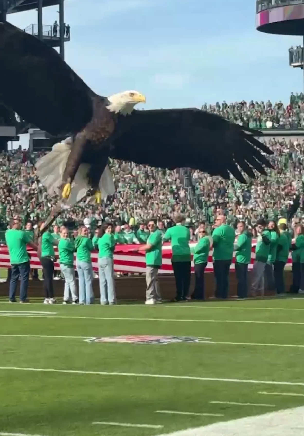 And yes, that is True Jackson VP singing the National Anthem #eagles #nflgameday #eagle #kekepalmer