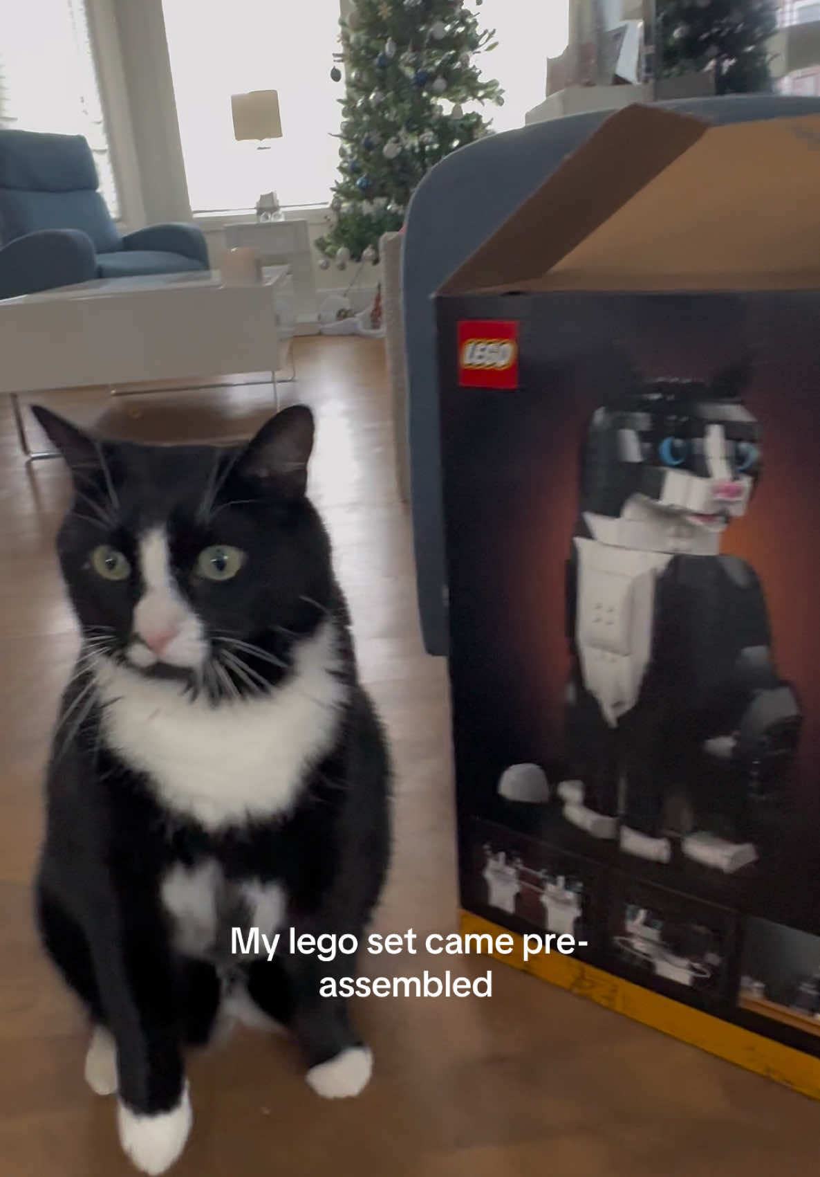 oreo cookie 😾#xyzcba #fyp #cat #tuxedocat #legos @LEGO 