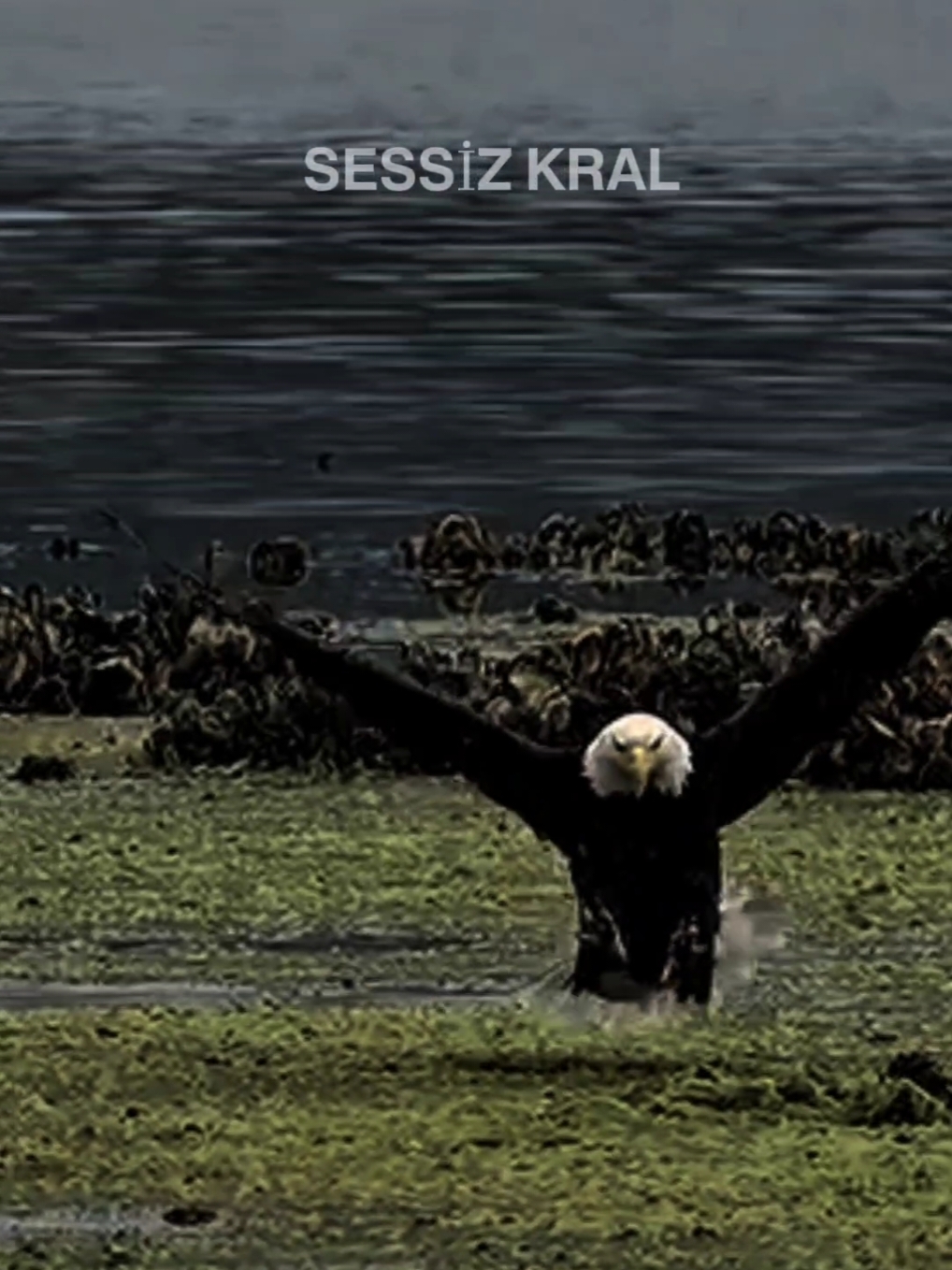 Yeni yılınız kutlu olsun.😉🎉 #sessizkral🦅#yeniyıl #2025  #efsanesozler🦅 #kapaksözler #raconsözler #fypシ゚ #kendinisev #viral_video 