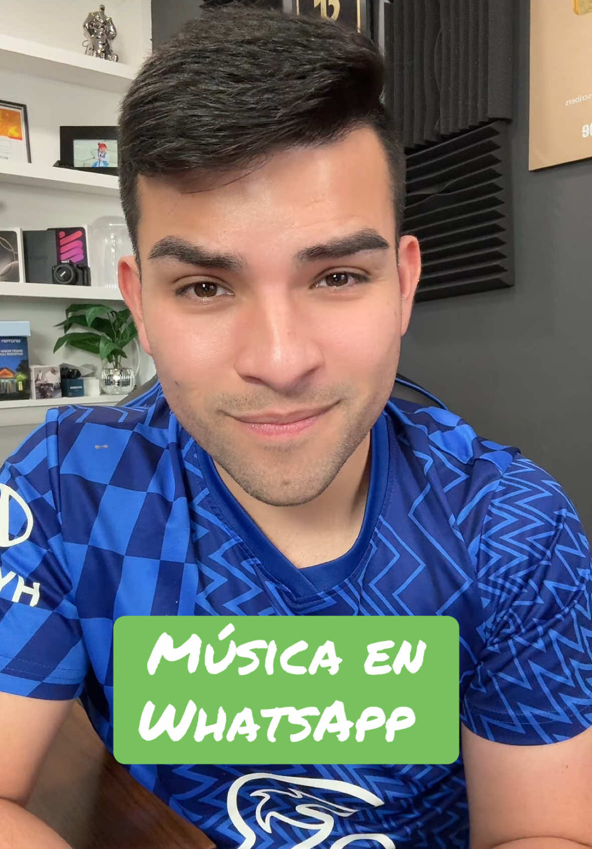 Cómo poner imágenes con música en WhatsApp #whatsap #musica #whatsappstatus #whatsapptips #tiktoktips #tiktokhacks #AprendeEnTikTok 