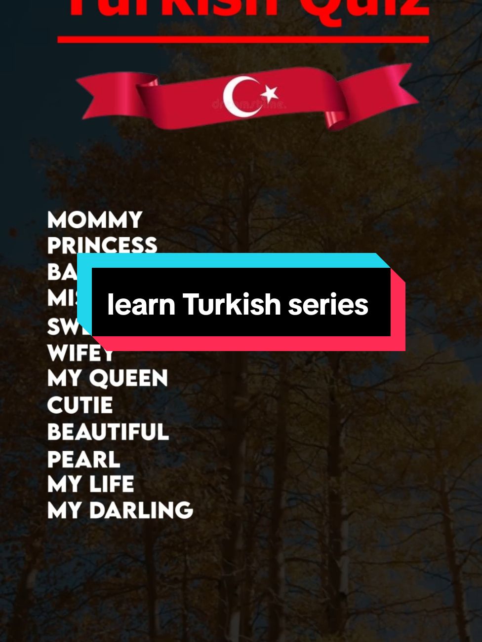 #usa #turkishquiz #turkey #turkishlanguage #Türkiye #uk#learnturkish  #turkisquiz #tourist 