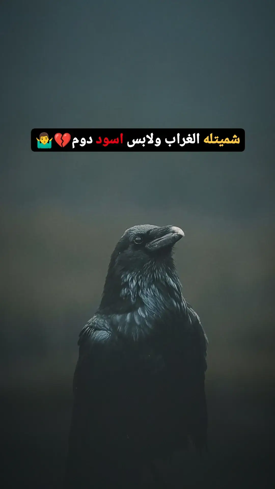 شميتله الغراب ولابس اسود دوم💔🤷‍♂️