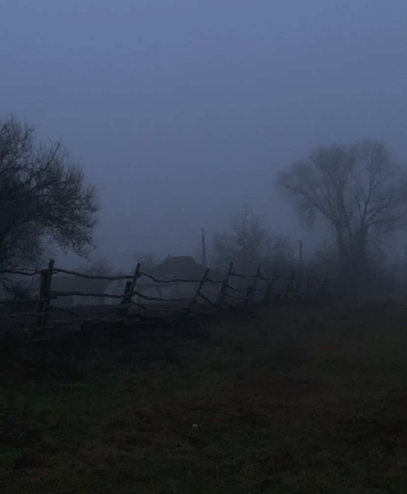 на вид я очень скудный, неопрятный господин | тгк в профиле #буерак #nature #reall 