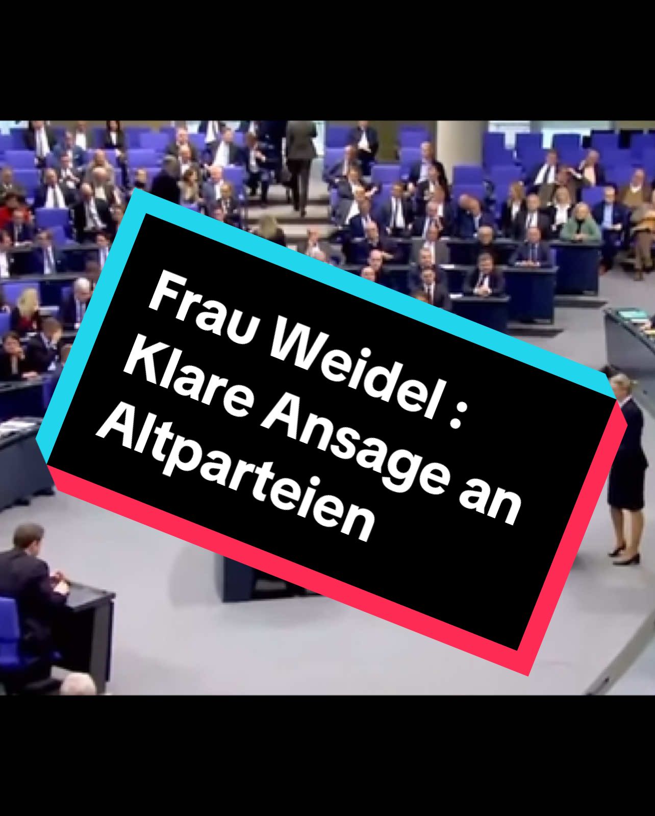 Hat sie das Zeug 🤔 #🇩🇪 #politik #aliceweidel #kanzlerkandidat #afd #why #rede #neuwahlen #2025 #altparteien #veränderung 