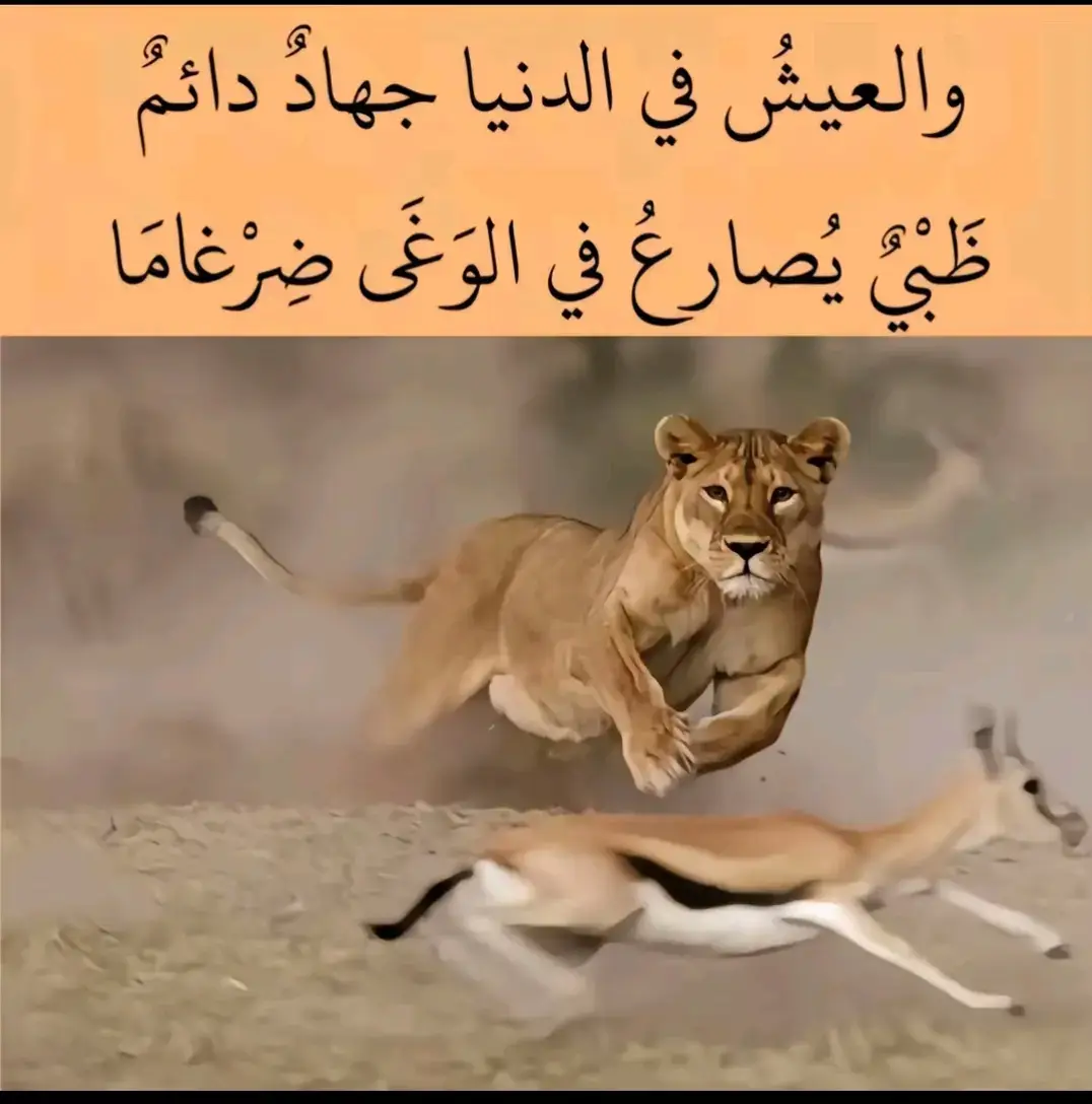 #شعر 